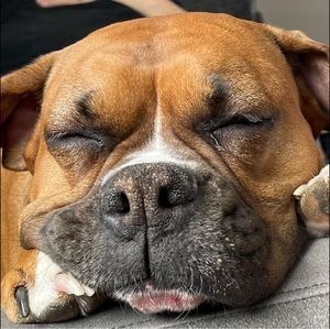 Meet your Posher, Matthew